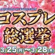 ヒメ日記 2024/03/24 16:19 投稿 そよは 新宿カルテ