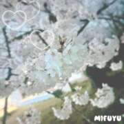 ヒメ日記 2025/04/15 12:36 投稿 みふゆ 奥様鉄道69 仙台店