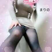 ヒメ日記 2024/12/28 23:36 投稿 まりの 奥鉄オクテツ東京店（デリヘル市場）