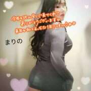 ヒメ日記 2024/12/30 23:49 投稿 まりの 奥鉄オクテツ東京店（デリヘル市場）