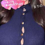 ヒメ日記 2025/03/17 08:31 投稿 まりの 奥鉄オクテツ東京店（デリヘル市場）