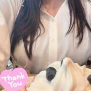 ヒメ日記 2025/03/29 14:33 投稿 まりの 奥鉄オクテツ東京店（デリヘル市場）