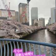 ヒメ日記 2025/04/03 23:52 投稿 まりの 奥鉄オクテツ東京店（デリヘル市場）