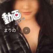 ヒメ日記 2025/04/09 08:00 投稿 まりの 奥鉄オクテツ東京店（デリヘル市場）