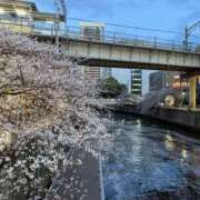 ヒメ日記 2025/04/09 22:28 投稿 まりの 奥鉄オクテツ東京店（デリヘル市場）