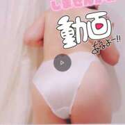 ヒメ日記 2025/05/29 22:00 投稿 まりの 奥鉄オクテツ東京店（デリヘル市場）