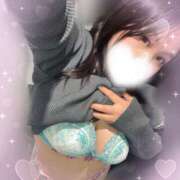 ヒメ日記 2025/11/17 11:06 投稿 まりの 奥鉄オクテツ東京店（デリヘル市場）