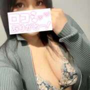 ヒメ日記 2025/11/29 14:03 投稿 まりの 奥鉄オクテツ東京店（デリヘル市場）