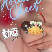 ヒメ日記 2025/12/25 17:00 投稿 まりの 奥鉄オクテツ東京店（デリヘル市場）