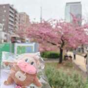 ヒメ日記 2026/02/28 08:00 投稿 まりの 奥鉄オクテツ東京店（デリヘル市場）