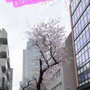 ヒメ日記 2026/03/25 23:31 投稿 まりの 奥鉄オクテツ東京店（デリヘル市場）