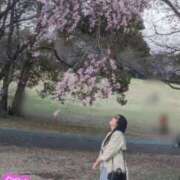 ヒメ日記 2026/03/28 22:51 投稿 まりの 奥鉄オクテツ東京店（デリヘル市場）