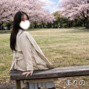 ヒメ日記 2026/03/29 15:18 投稿 まりの 奥鉄オクテツ東京店（デリヘル市場）