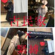 ヒメ日記 2024/12/16 21:23 投稿 きょうこ 涼泉（りょうせん）