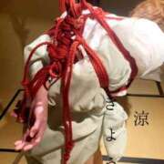 ヒメ日記 2024/12/19 07:01 投稿 きょうこ 涼泉（りょうせん）