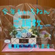 ヒメ日記 2024/12/26 11:00 投稿 きょうこ 涼泉（りょうせん）