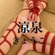 ヒメ日記 2025/02/05 23:48 投稿 きょうこ 涼泉（りょうせん）