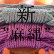 ヒメ日記 2025/02/20 17:14 投稿 きょうこ 涼泉（りょうせん）