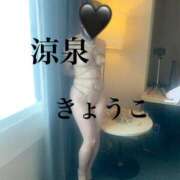 ヒメ日記 2025/02/27 17:00 投稿 きょうこ 涼泉（りょうせん）