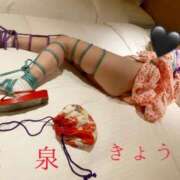 ヒメ日記 2025/03/04 17:00 投稿 きょうこ 涼泉（りょうせん）