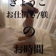 ヒメ日記 2025/03/05 12:00 投稿 きょうこ 涼泉（りょうせん）