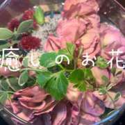 ヒメ日記 2025/03/18 07:01 投稿 きょうこ 涼泉（りょうせん）