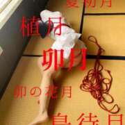 ヒメ日記 2025/04/02 07:01 投稿 きょうこ 涼泉（りょうせん）