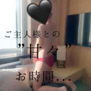 ヒメ日記 2025/04/04 11:00 投稿 きょうこ 涼泉（りょうせん）