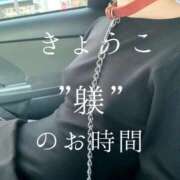 ヒメ日記 2025/04/08 07:01 投稿 きょうこ 涼泉（りょうせん）