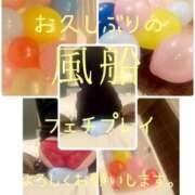 ヒメ日記 2025/04/17 07:01 投稿 きょうこ 涼泉（りょうせん）