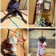 ヒメ日記 2025/04/23 11:00 投稿 きょうこ 涼泉（りょうせん）