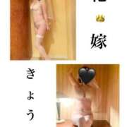 ヒメ日記 2025/04/23 16:00 投稿 きょうこ 涼泉（りょうせん）