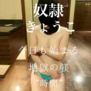 ヒメ日記 2025/04/26 12:04 投稿 きょうこ 涼泉（りょうせん）