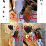 ヒメ日記 2025/04/28 15:00 投稿 きょうこ 涼泉（りょうせん）