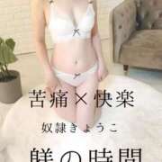 ヒメ日記 2025/04/29 18:00 投稿 きょうこ 涼泉（りょうせん）