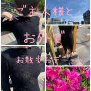 ヒメ日記 2025/05/07 10:01 投稿 きょうこ 涼泉（りょうせん）