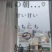 ヒメ日記 2025/05/18 16:00 投稿 きょうこ 涼泉（りょうせん）