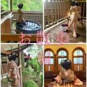 ヒメ日記 2025/05/23 20:03 投稿 きょうこ 涼泉（りょうせん）