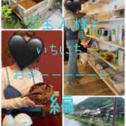 ヒメ日記 2025/05/25 10:00 投稿 きょうこ 涼泉（りょうせん）