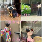 ヒメ日記 2025/06/15 14:00 投稿 きょうこ 涼泉（りょうせん）