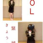 ヒメ日記 2025/06/16 13:00 投稿 きょうこ 涼泉（りょうせん）