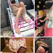 ヒメ日記 2025/06/18 09:00 投稿 きょうこ 涼泉（りょうせん）