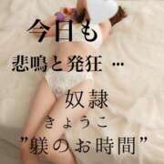 ヒメ日記 2025/06/22 15:00 投稿 きょうこ 涼泉（りょうせん）