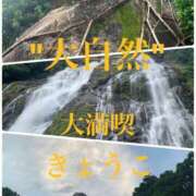 ヒメ日記 2025/06/28 08:11 投稿 きょうこ 涼泉（りょうせん）