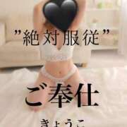 ヒメ日記 2025/06/29 10:00 投稿 きょうこ 涼泉（りょうせん）