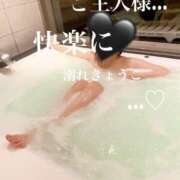 ヒメ日記 2025/07/12 21:01 投稿 きょうこ 涼泉（りょうせん）