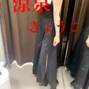 ヒメ日記 2025/07/28 17:02 投稿 きょうこ 涼泉（りょうせん）