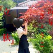 ヒメ日記 2025/08/07 20:45 投稿 きょうこ 涼泉（りょうせん）