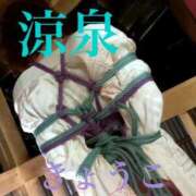 ヒメ日記 2025/08/11 22:15 投稿 きょうこ 涼泉（りょうせん）