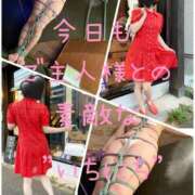 ヒメ日記 2025/08/21 14:00 投稿 きょうこ 涼泉（りょうせん）